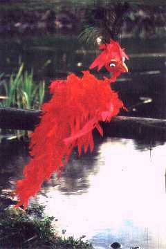 Der Feuervogel