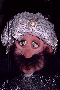 Der Sultan