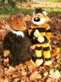 B&auml;r und Tiger