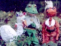 Wer k&uuml;&szlig;t den Frosch?